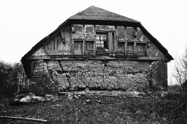 Saločių dvaro kiaulidė. Vido Dulkės nuotrauka, 9 dešimtmetis